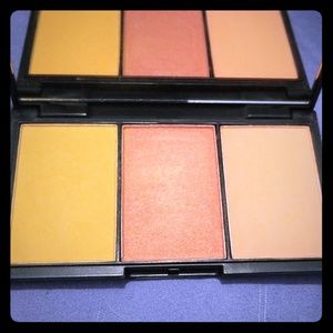 Sleek blush by 3 palette.